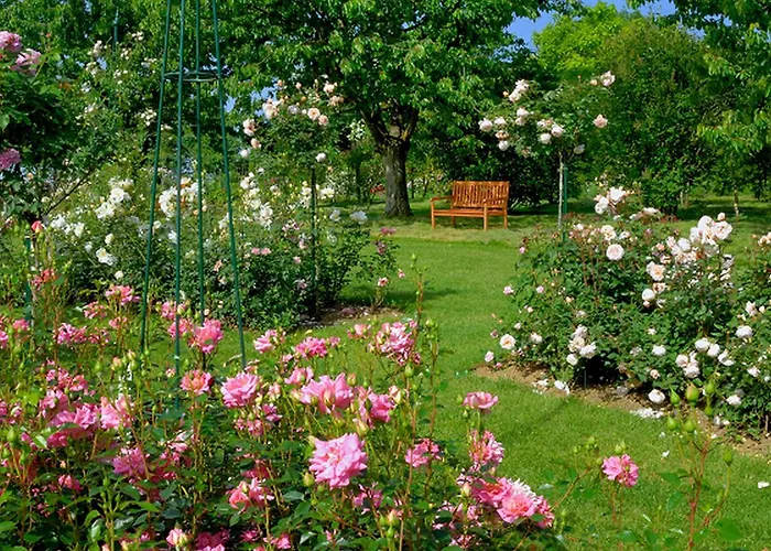 Landhaus Ettenbuhl Гостевой дом Бад-Беллинген